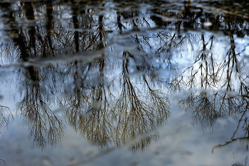 Reflections