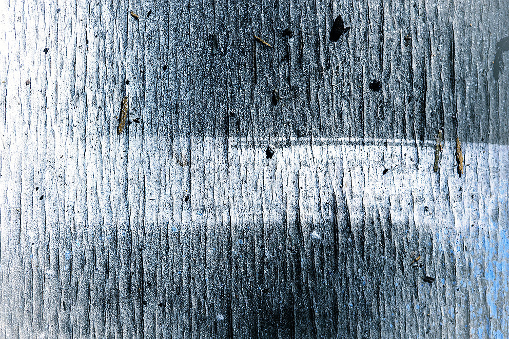 IMG-9835-l.jpg