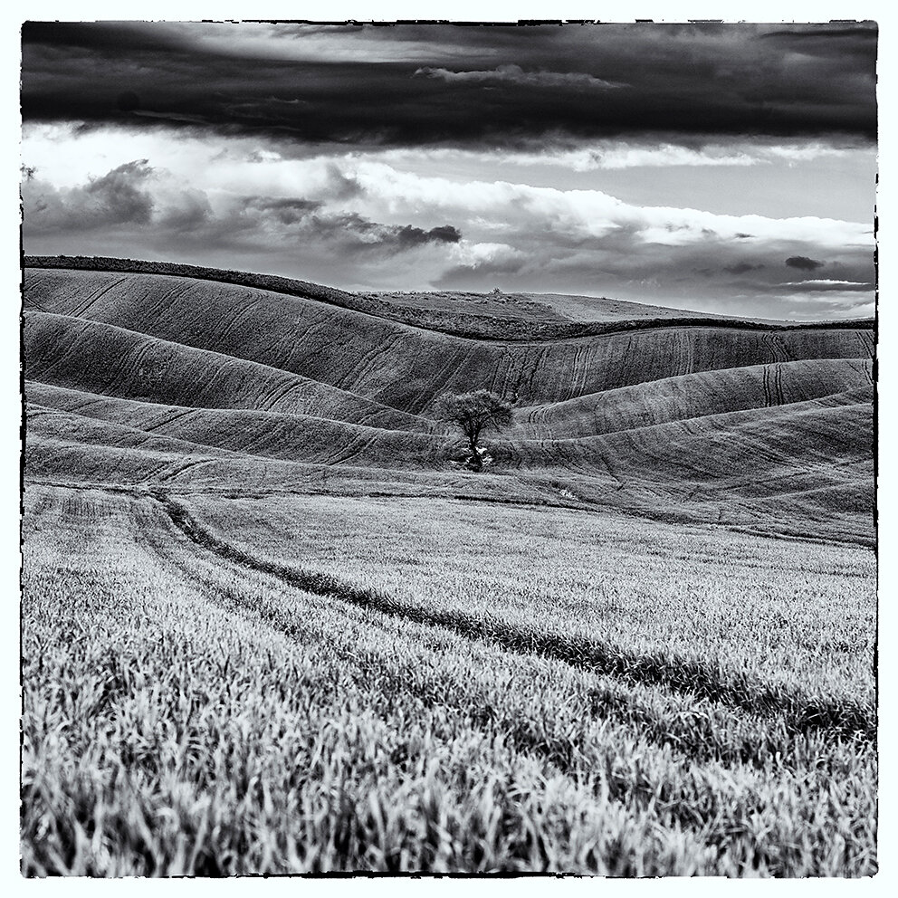 B&W lanscapes