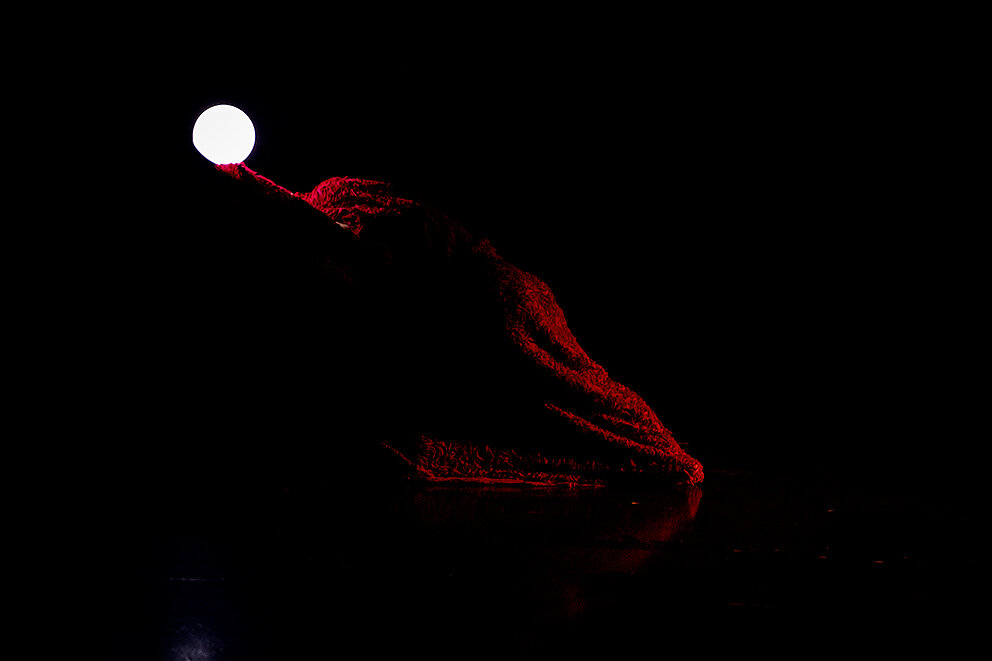 Motus Danza 11-03-23
